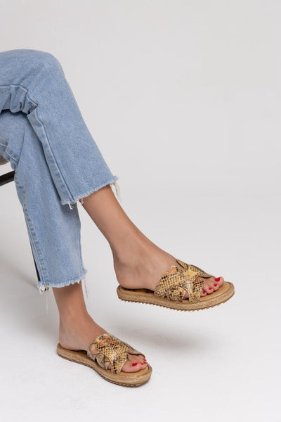 Snake Flats 998 - Camel