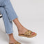 Snake Flats 998 - Camel